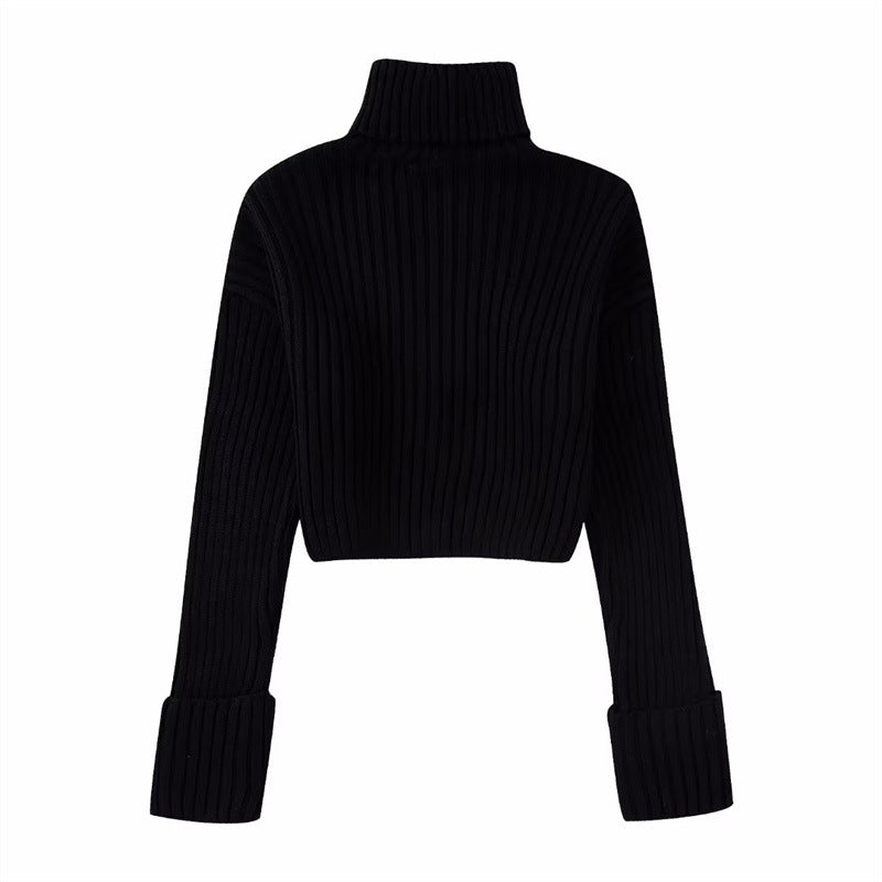 Women's Solid Colour Chunky Knitted Sweater High Neck Long Sleeve Casual Fashion Jumpers