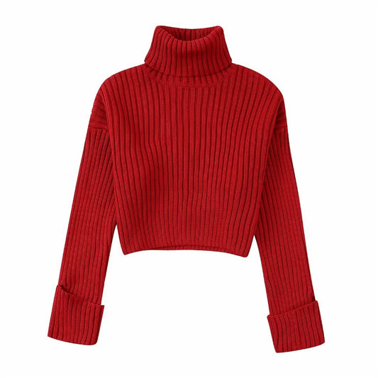 Women's Solid Colour Chunky Knitted Sweater High Neck Long Sleeve Casual Fashion Jumpers