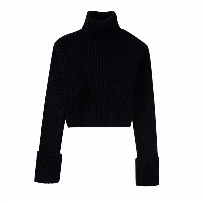 Women's Solid Colour Chunky Knitted Sweater High Neck Long Sleeve Casual Fashion Jumpers